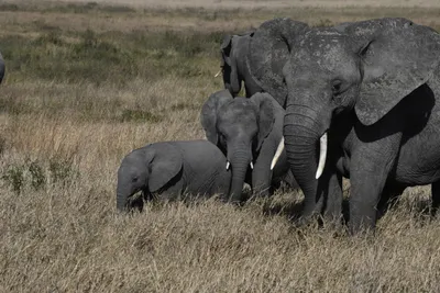 DSC_3899 (Large).JPG